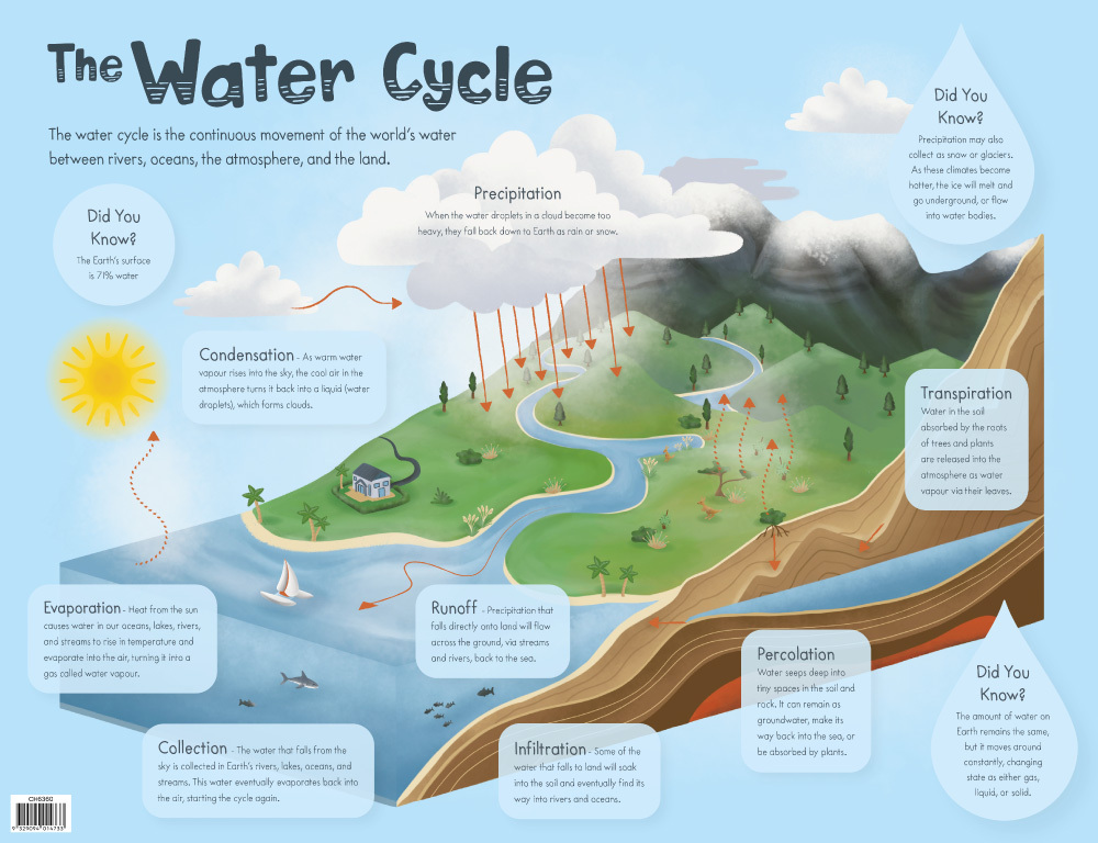 The Water Cycle Chart Australian Teaching Aids Educational Resources 