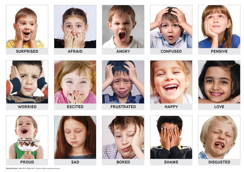 Emotions Art & Language Charts - The Creative School Supply Company ...