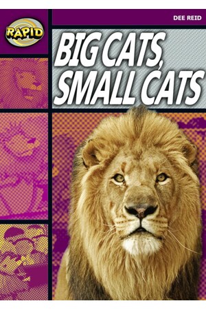 Rapid Reading: Big Cats Small Cats (Stage 1, Level 1A)