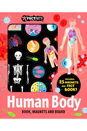 Factivity - Magnetic Folder - Human Body (Neon Edition)