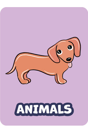 Junior Library Stickers - Animals (Pack of 243)