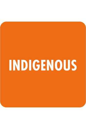 Library Stickers - Indigenous (Pack of 324)