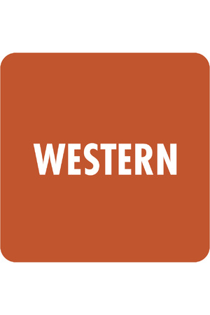 Library Stickers - Western (Pack of 324)