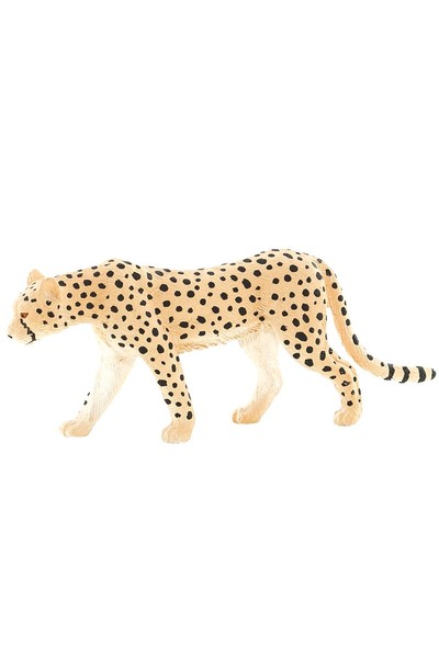 Mini Cheetah