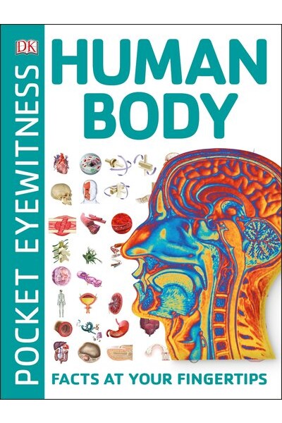 Pocket Eyewitness Human Body