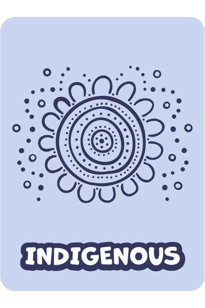 Junior Library Stickers - Indigenous (Pack of 243)