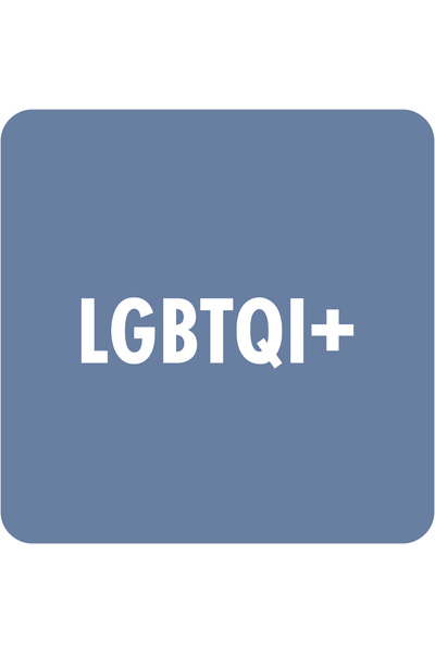 Library Stickers - LGBTQI+ (Pack of 324)