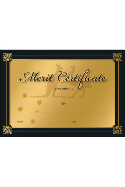 Gold Merit Certificate - Pack of 100 Cards (Previous Design)