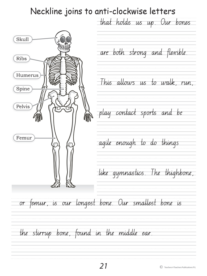 Handwriting Conventions NSW Year 5 Teachers 4 Teachers Educational 