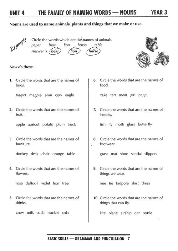 Excel Basic Skills - Grammar and Punctuation: Years 5-6 - Pascal Press ...