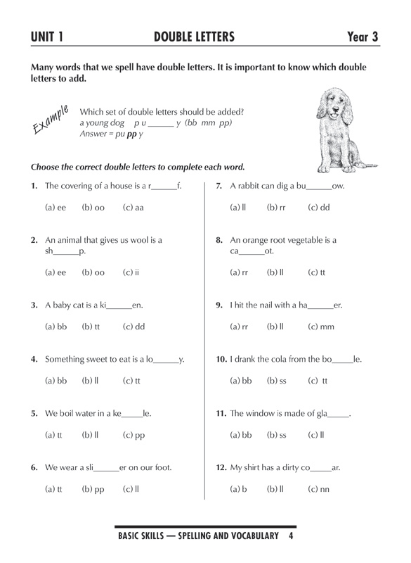 Excel Basic Skills - Spelling And Vocabulary: Years 3-4 - Pascal Press 